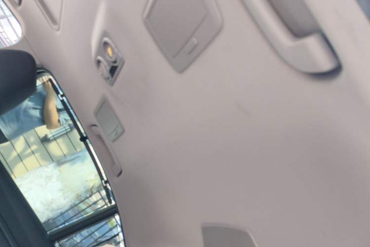 Used BMW 3 Series 2019 320Li Fashion Model Headliner