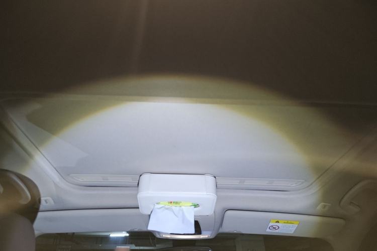 Used BMW 3 Series 2019 320Li Fashion Model Headliner