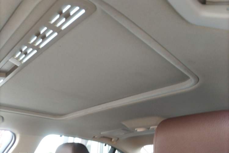 Used BMW 3 Series 2019 320Li Fashion Model Headliner