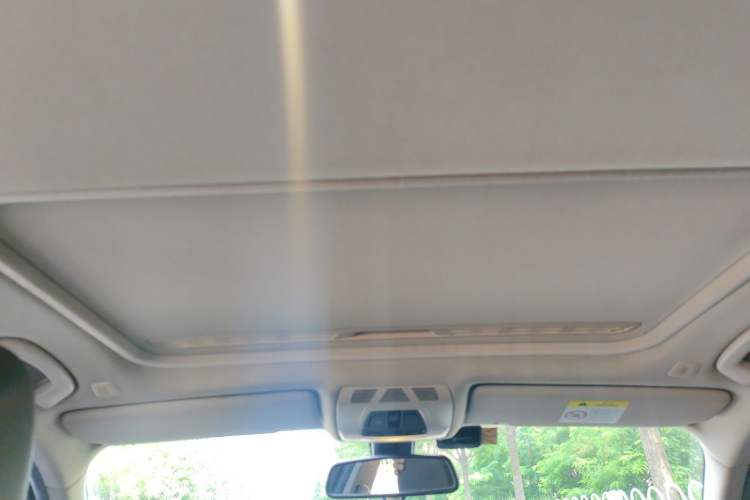 Used BMW 3 Series 2019 320Li M Luxury Package Headliner