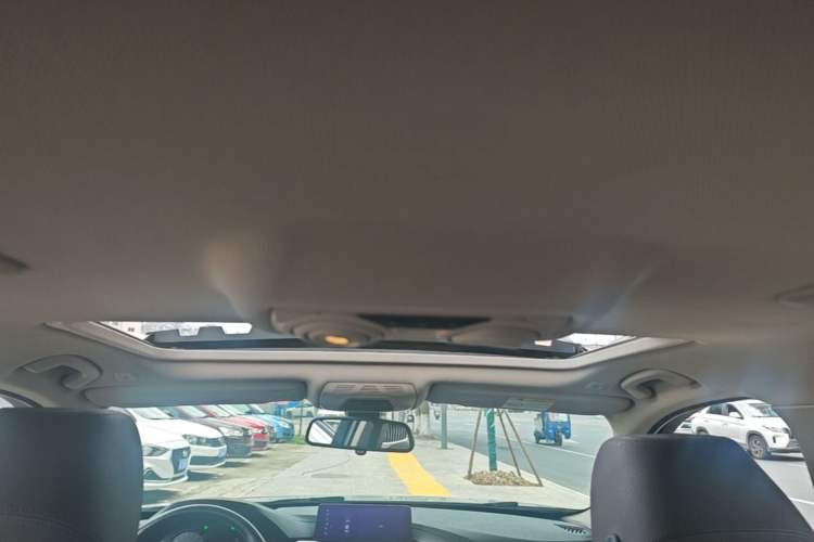 Used BMW 3 Series 2019 320Li Fashion Model Headliner