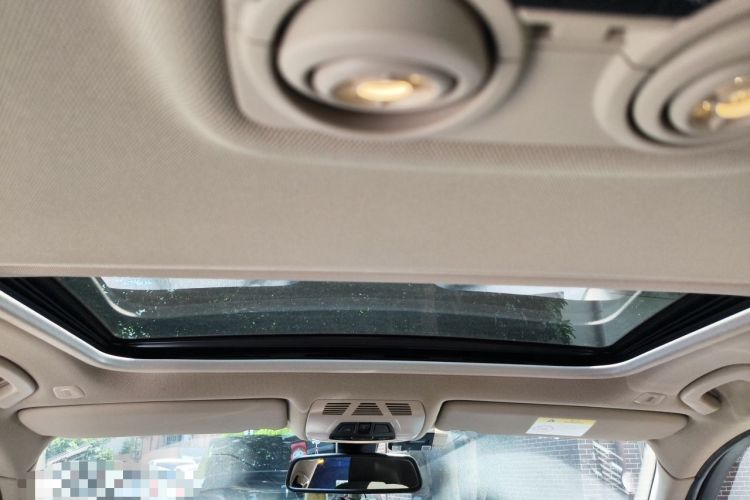 Used BMW 3 Series 2019 320Li M Sport Package Headliner