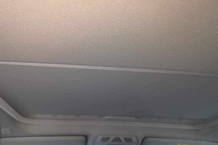 Used BMW 3 Series 2019 320Li Fashion Model Headliner