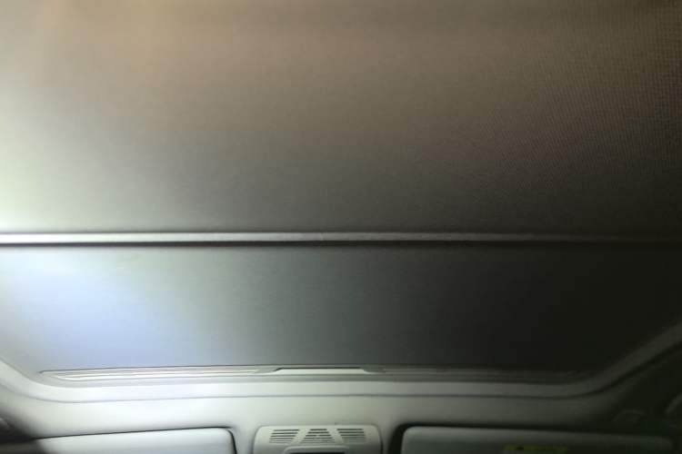 Used BMW 3 Series 2019 320Li Fashion Model Headliner