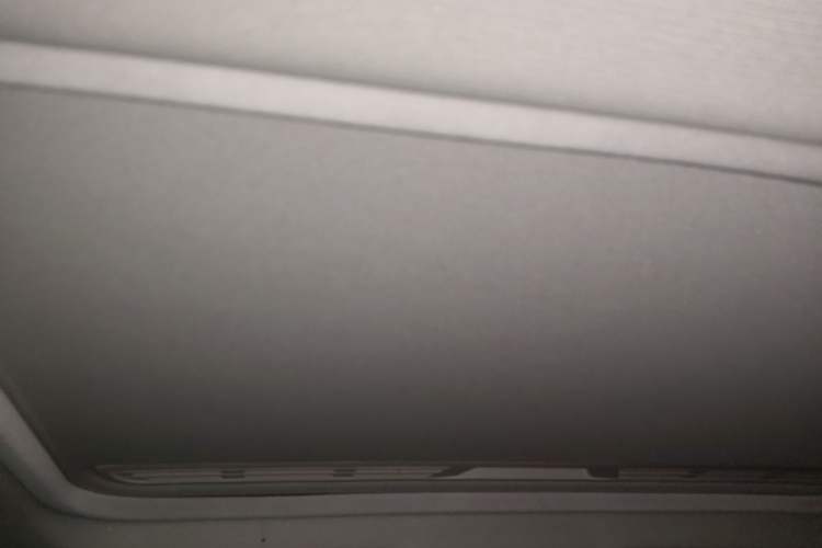 Used BMW 3 Series 2019 320Li Fashion Model Headliner