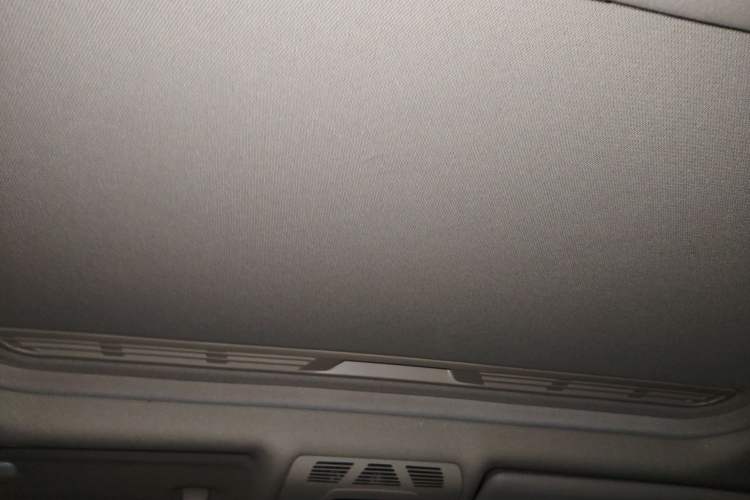 Used BMW 3 Series 2019 320Li Fashion Model Headliner