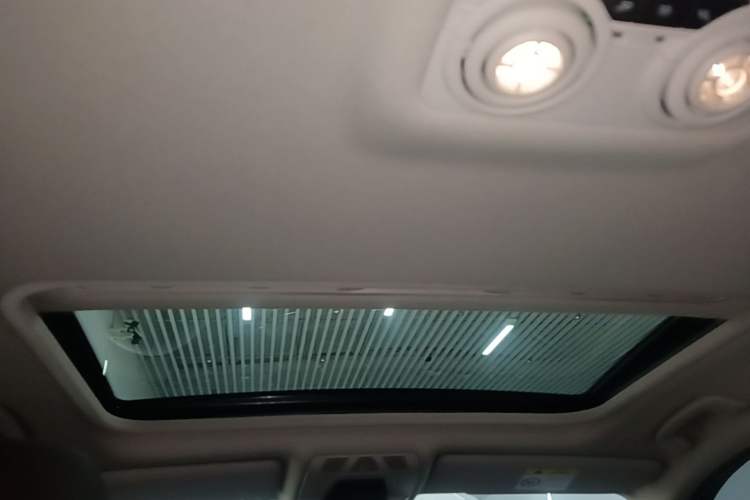 Used BMW 3 Series 2019 320Li Fashion Model Headliner