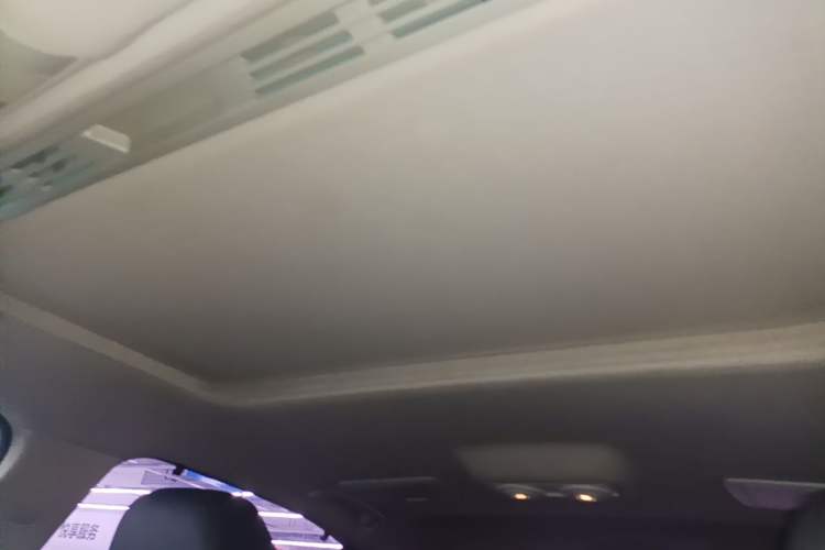 Used BMW 3 Series 2019 320Li Fashion Model Headliner