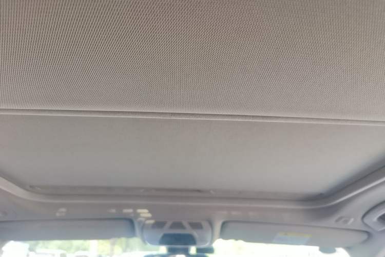 Used BMW 3 Series 2019 320Li Fashion Model Headliner