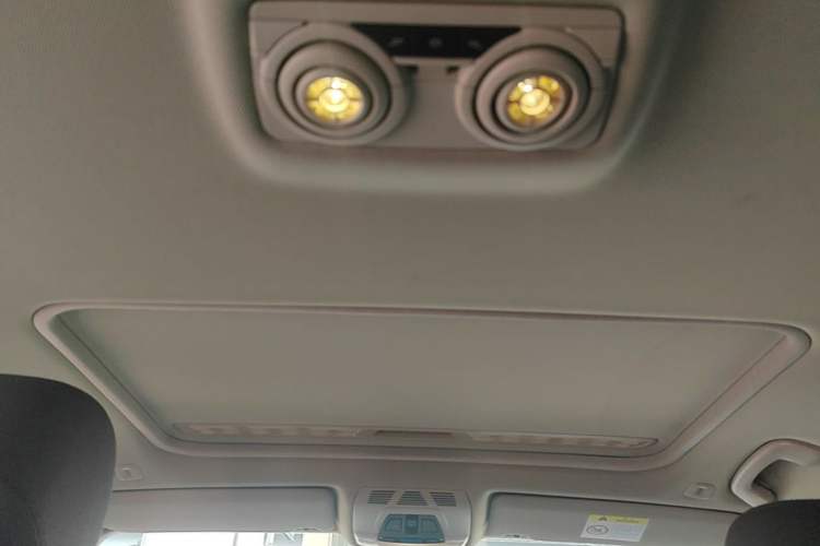 Used BMW 3 Series 2019 320Li M Sport Package Headliner