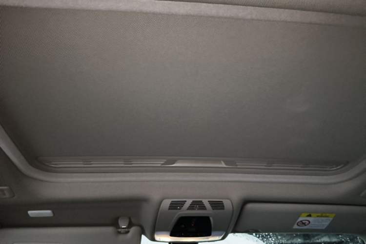 Used BMW 3 Series 2019 320Li Fashion Model Headliner