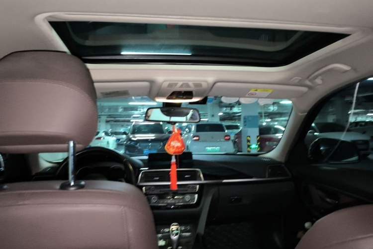 Used BMW 3 Series 2019 320Li M Sport Package Headliner
