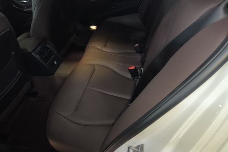 Used BMW 3 Series 2019 320Li M Sport Package Left Rear Seat