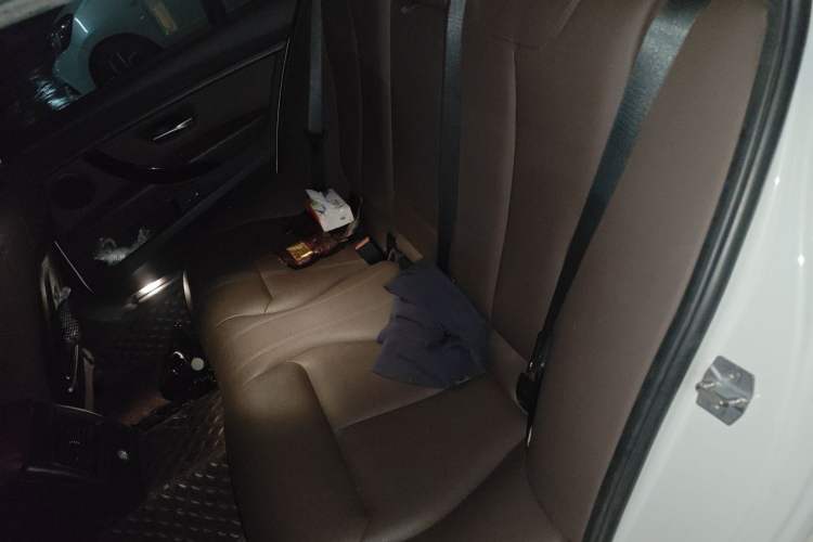Used BMW 3 Series 2019 320Li Fashion Model Left Rear Seat