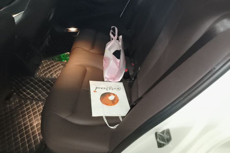Used BMW 3 Series 2019 320Li M Sport Package Left Rear Seat