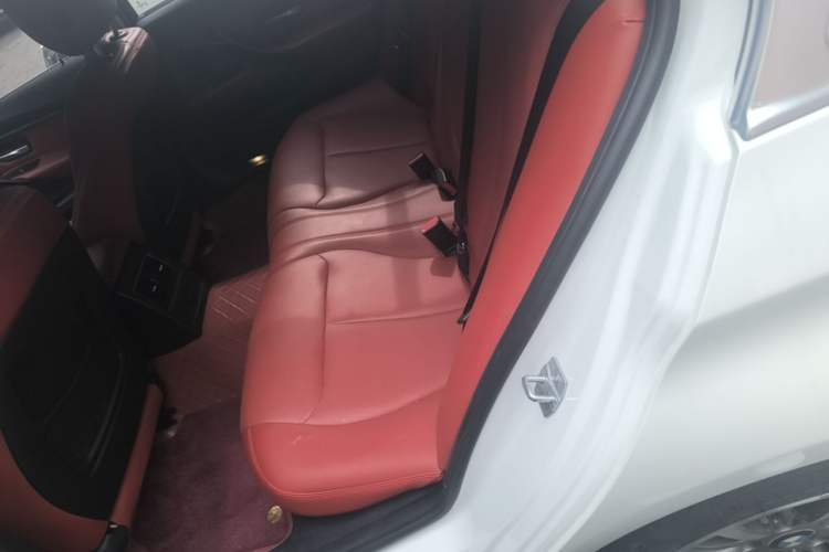 Used BMW 3 Series 2019 320Li Fashion Model Left Rear Seat
