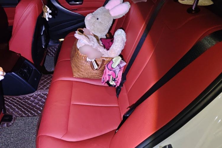 Used BMW 3 Series 2019 320i M Sport Night Edition Left Rear Seat