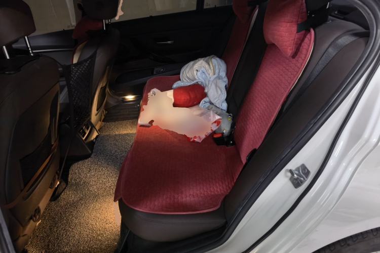 Used BMW 3 Series 2019 320Li Fashion Model Left Rear Seat
