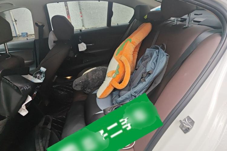 Used BMW 3 Series 2019 320Li M Sport Package Left Rear Seat