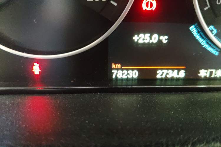 Used BMW 3 Series 2019 320Li Fashion Model Odometer Close Up
