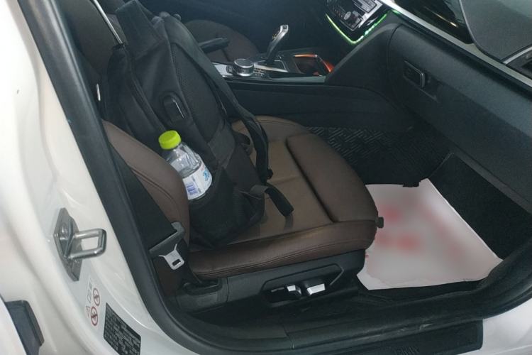 Used BMW 3 Series 2019 320Li Fashion Model Right Front Seat