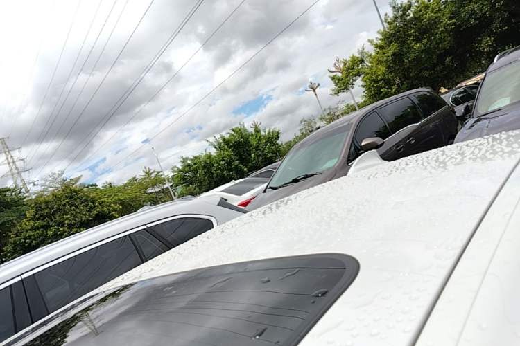 Used BMW 3 Series 2019 320Li Fashion Model Roof