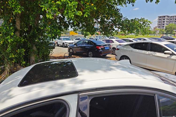 Used BMW 3 Series 2019 320i M Sport Night Edition Roof