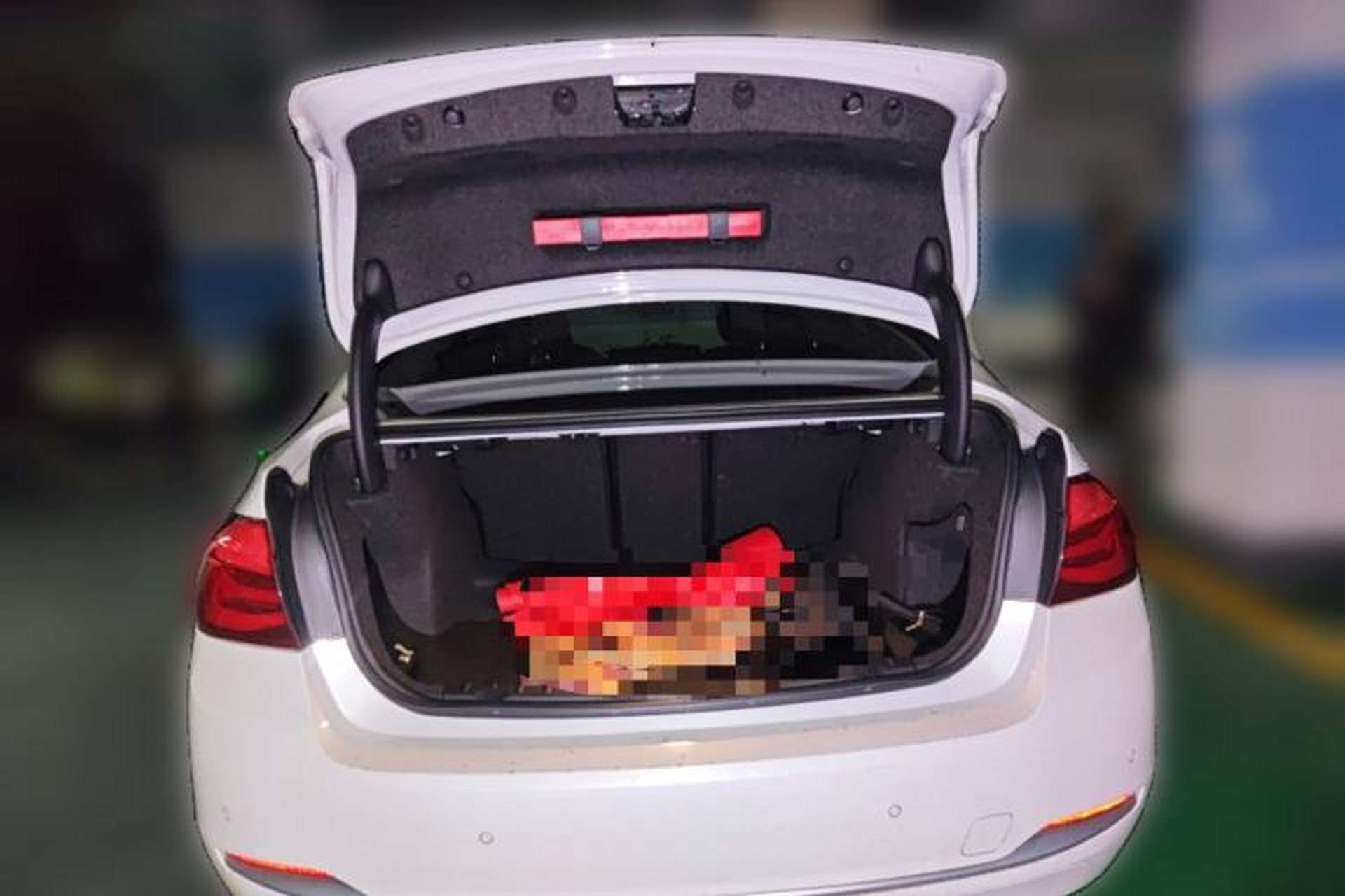 Used BMW 3 Series 2019 320Li Fashion Model Trunk