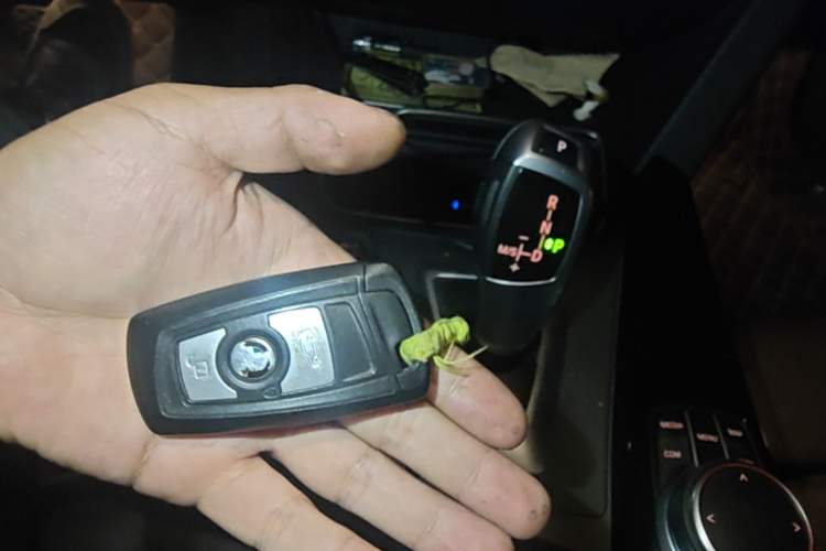 Used BMW 3 Series 2019 320Li Fashion Model Vehicle Key