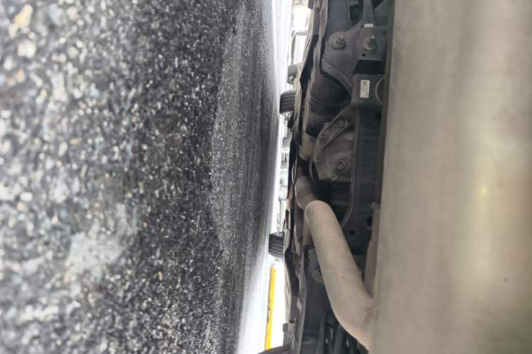 Used BMW 3 Series 2019 320Li Fashion Model Chassis Rear