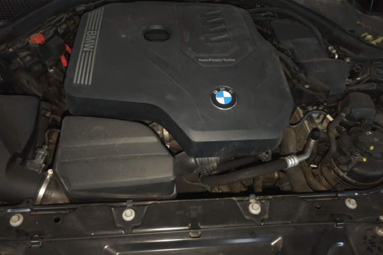Used BMW 3 Series 2020 320Li M Sport Package Engine Bay