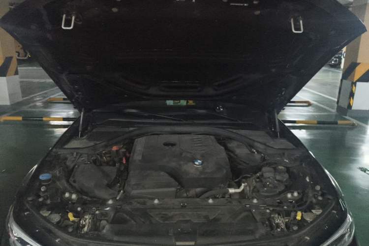 Used BMW 3 Series 2020 Facelifted 325Li M Sport Night Edition Package Engine Bay
