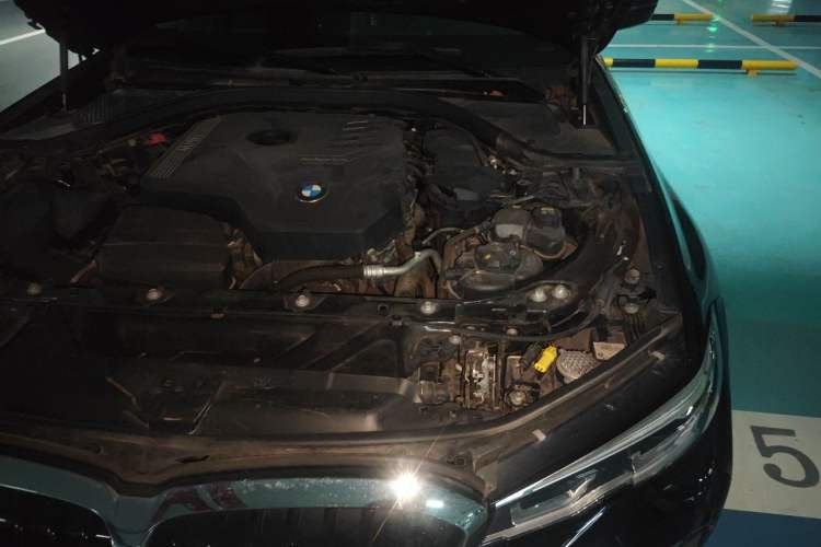Used BMW 3 Series 2020 320Li M Sport Package Engine Bay Left