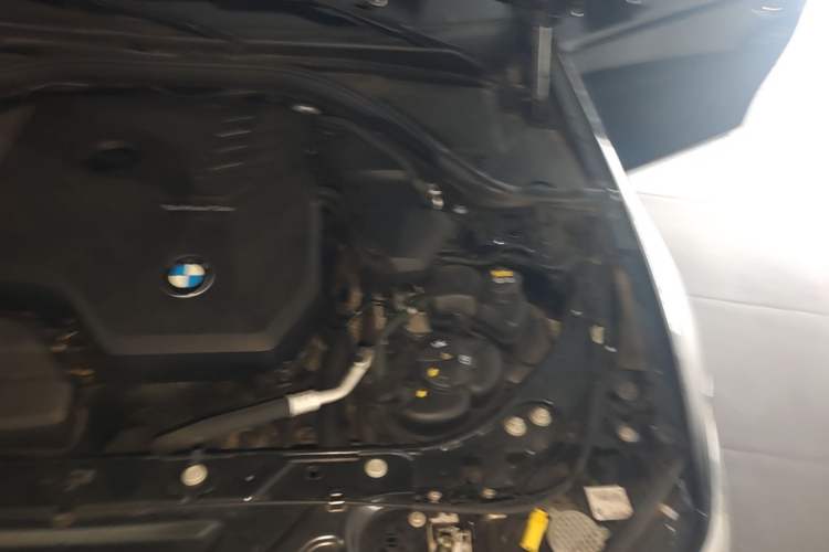 Used BMW 3 Series 2020 320Li M Sport Package Engine Bay Left