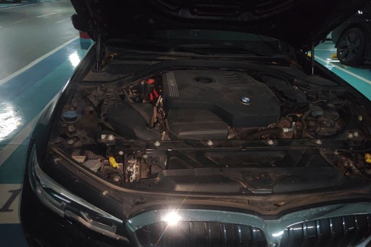 Used BMW 3 Series 2020 320Li M Sport Package Engine Bay Right