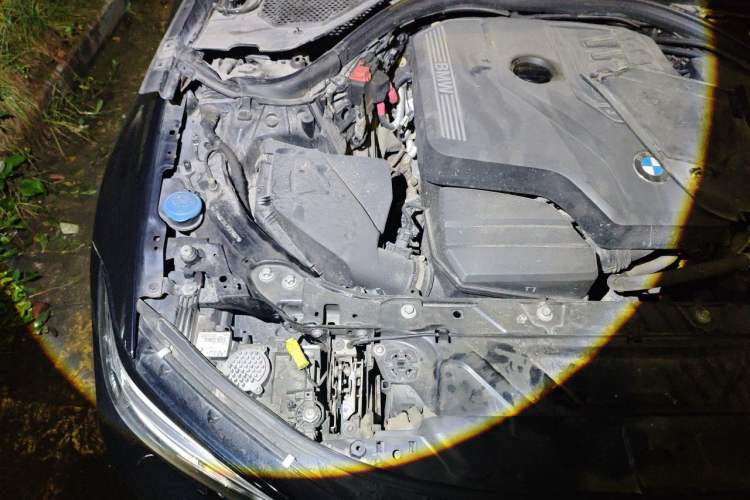 Used BMW 3 Series 2020 320Li M Sport Package Engine Bay Right