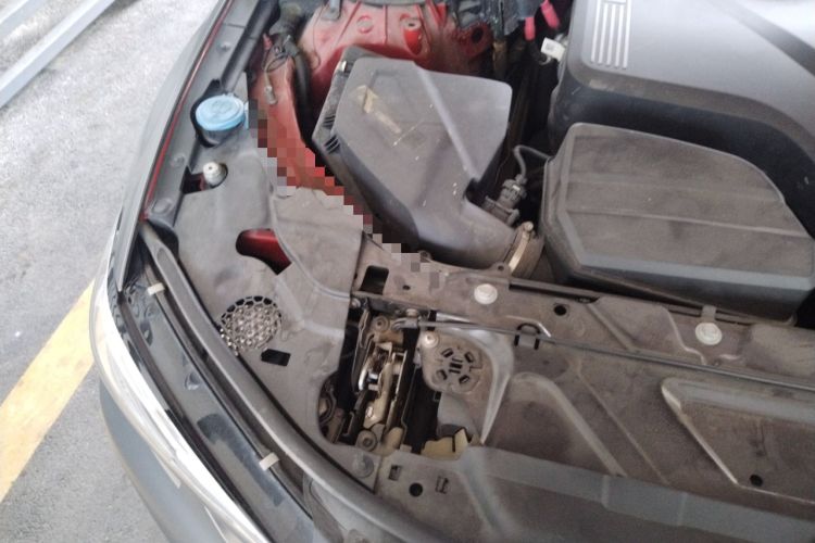 Used BMW 3 Series 2020 325Li First Edition Engine Bay Right
