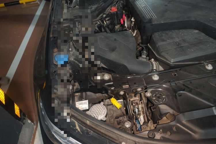 Used BMW 3 Series 2020 320Li M Sport Package Engine Bay Right