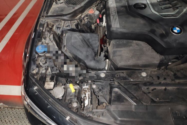 Used BMW 3 Series 2020 320Li M Sport Package Engine Bay Right