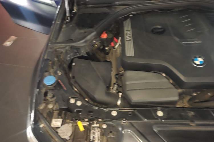 Used BMW 3 Series 2020 320Li M Sport Package Engine Bay Right