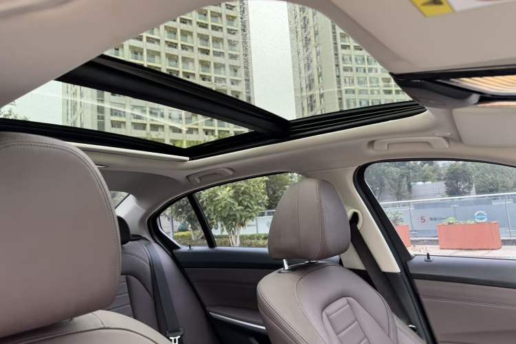 Used BMW 3 Series 2020 325Li M Sport Night Edition Package Headliner