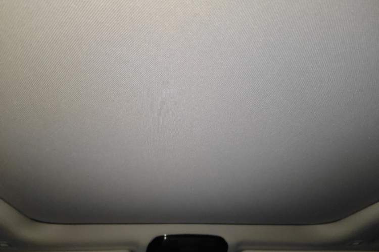 Used BMW 3 Series 2020 320Li M Sport Package Headliner