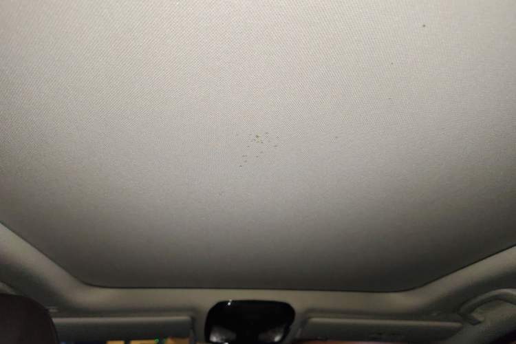 Used BMW 3 Series 2020 320Li M Sport Package Headliner
