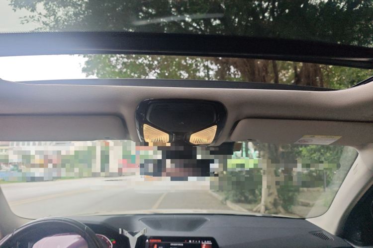 Used BMW 3 Series 2020 325Li M Sport Night Edition Package Headliner