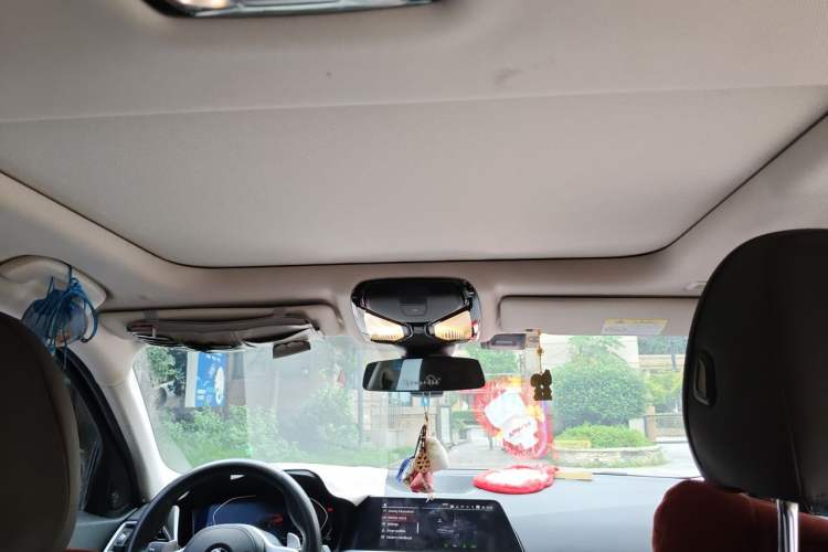 Used BMW 3 Series 2020 Restyled 325i M Sport Night Edition Package Headliner