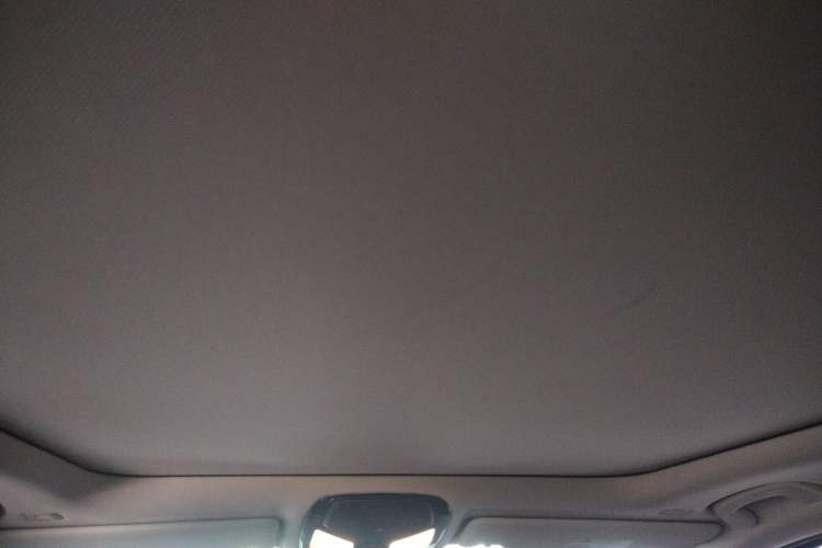 Used BMW 3 Series 2020 325Li First Edition Headliner