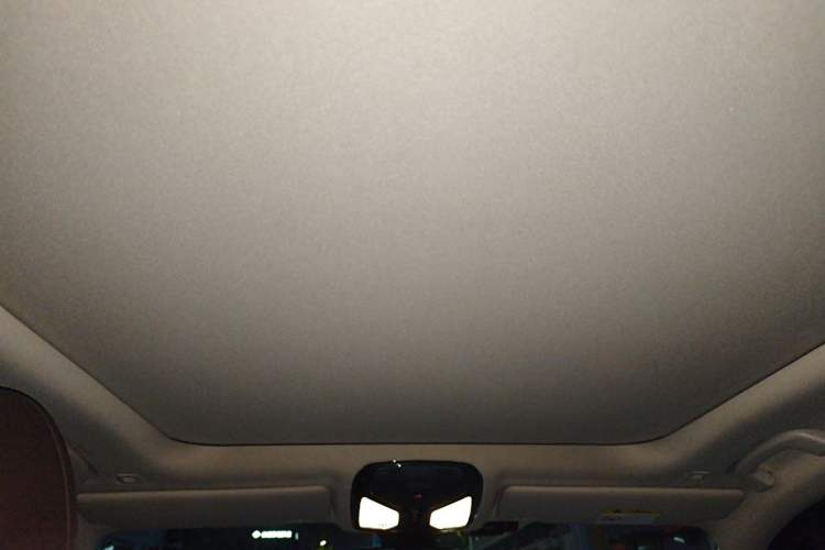 Used BMW 3 Series 2020 325Li M Sport Package Headliner