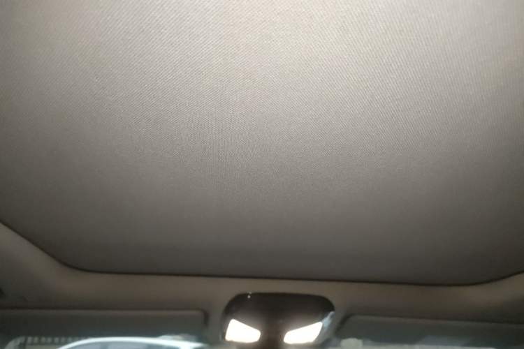 Used BMW 3 Series 2020 325Li M Sport Package Headliner