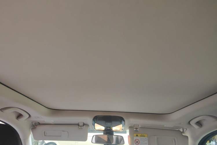 Used BMW 3 Series 2020 325Li First Edition Headliner