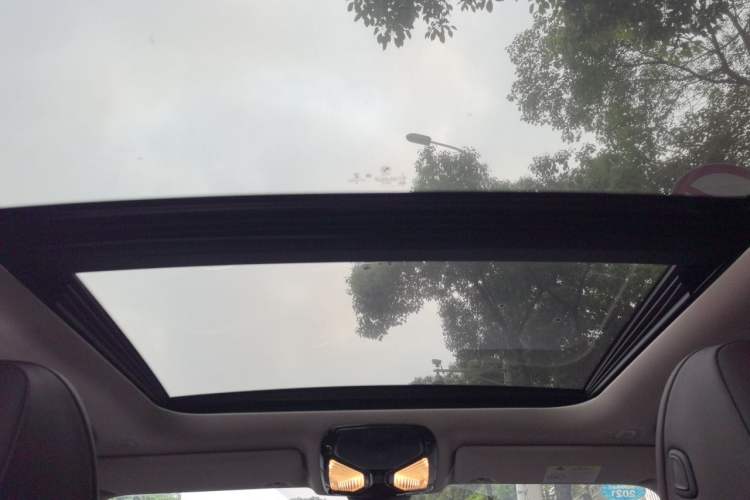 Used BMW 3 Series 2020 325Li M Sport Package Headliner
